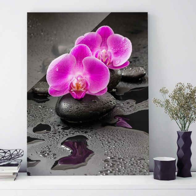 Glasbilder Orchideen Pinke Orchideenblüten auf Steinen mit Tropfen