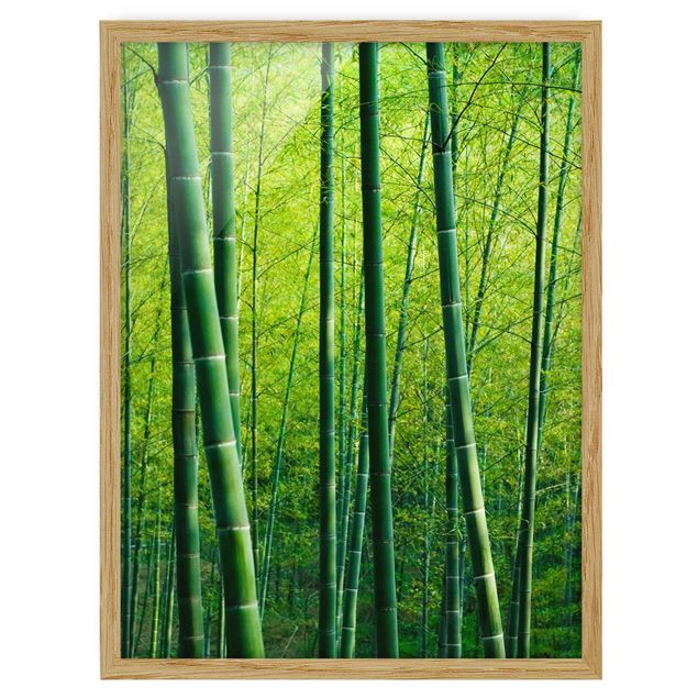 Wandbilder Landschaften Bambuswald