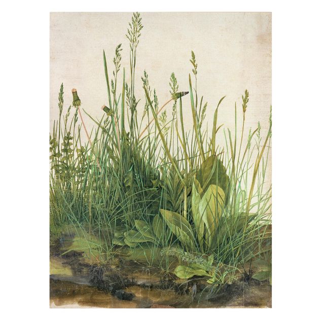 Wandbilder Floral Albrecht Dürer - Das große Rasenstück