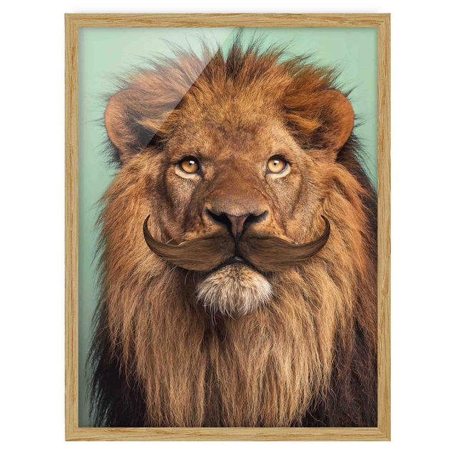 Gerahmte Bilder Tiere Löwe mit Bart