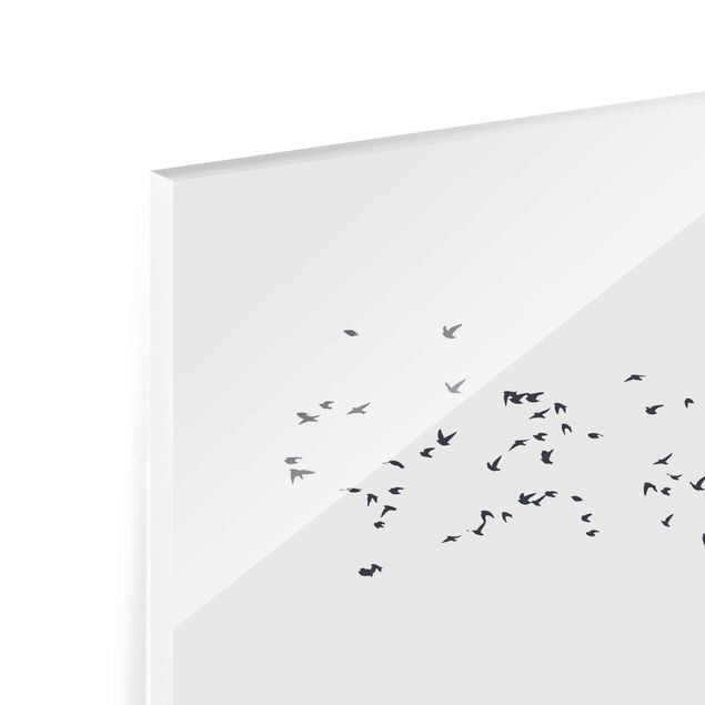 Glasbilder Tiere Vogelschwarm vor Bergen Schwarz Weiß