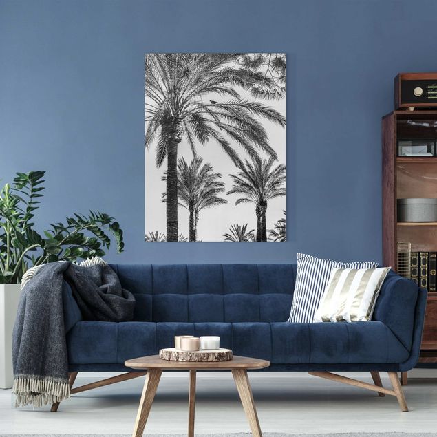 Wandbilder Landschaften Palmen im Sonnenuntergang Schwarz-Weiß