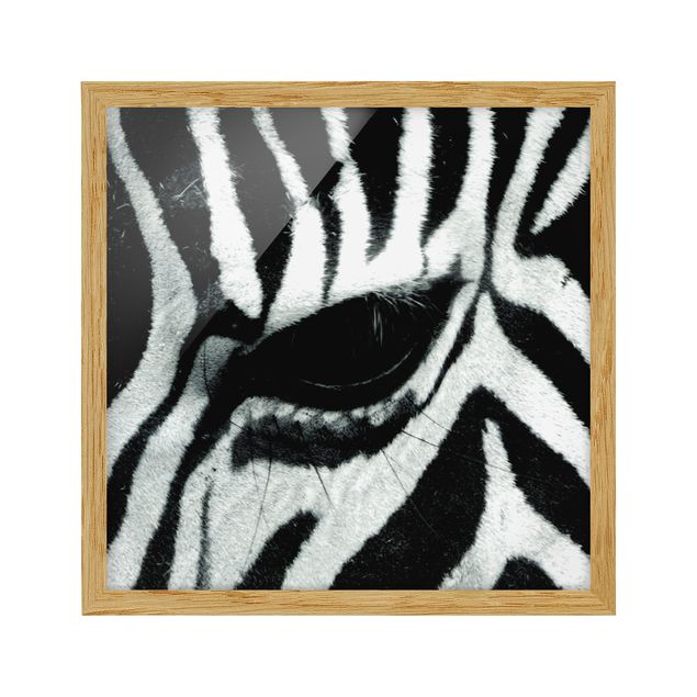 Gerahmte Bilder Tiere Zebra Crossing No.4