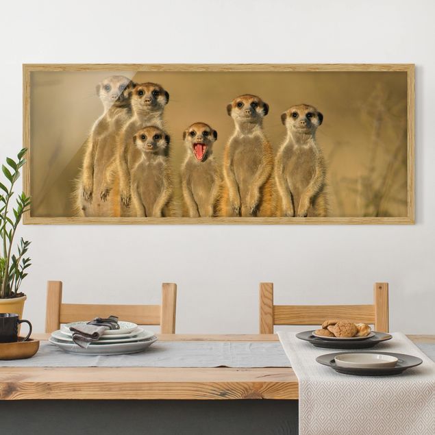 Wandbilder Familie Meerkat Family