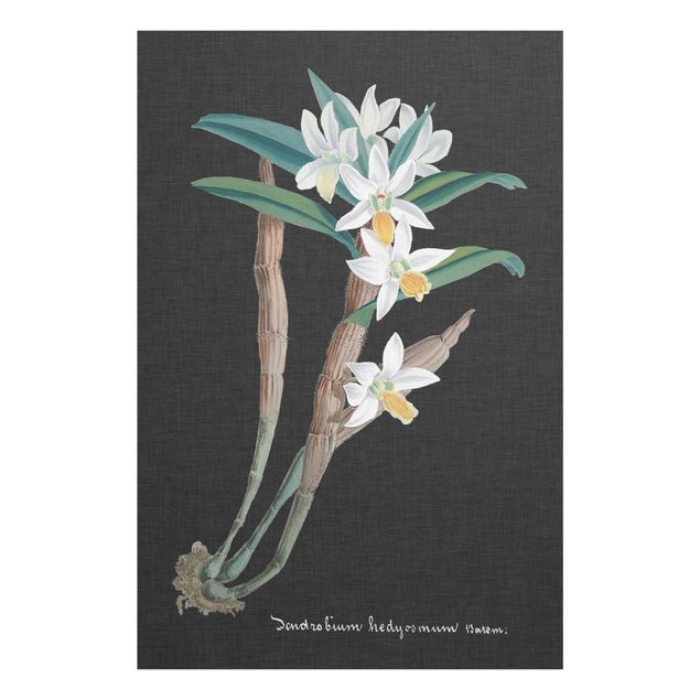 Wandbilder Floral Weiße Orchidee auf Leinen I