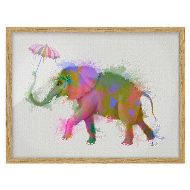 Gerahmte Bilder Tiere Regenbogen Splash Elefant