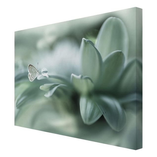 Wandbilder Floral Schmetterling und Tautropfen in Pastellgrün