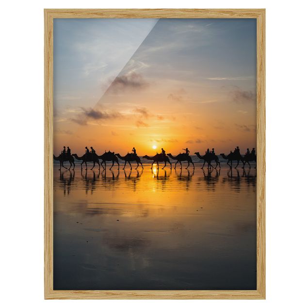 Tierbilder mit Rahmen Kamele im Sonnenuntergang
