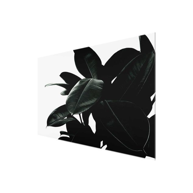 Kubistika Kunstdrucke Gummibaum Blätter Dunkelgrün