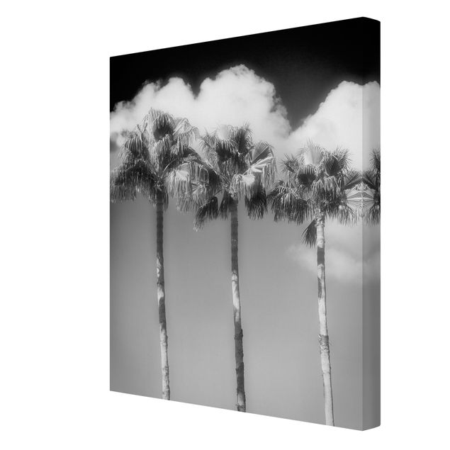 Wandbilder Schwarz-Weiß Palmen vor Himmel Schwarz-Weiß