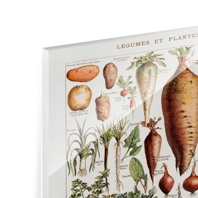 Glasbilder Vintage Lehrtafel Gemüse