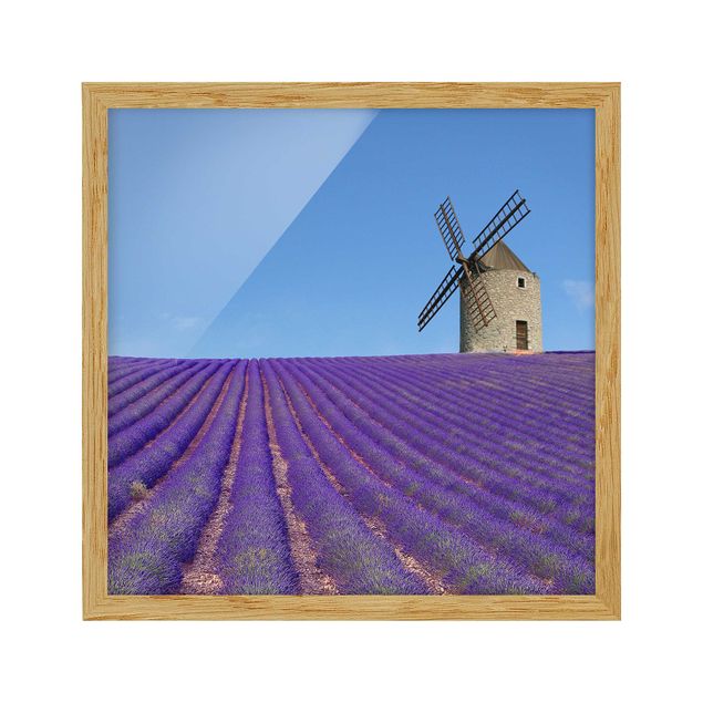 Gerahmte Bilder Landschaften Lavendelduft in der Provence