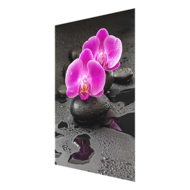Wandbilder Blumen Pinke Orchideenblüten auf Steinen mit Tropfen