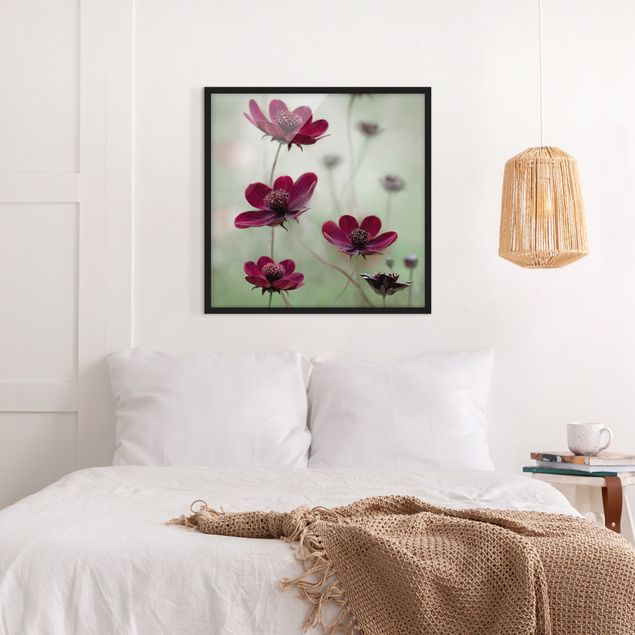 Wandbilder Floral Pinke Kosmeen