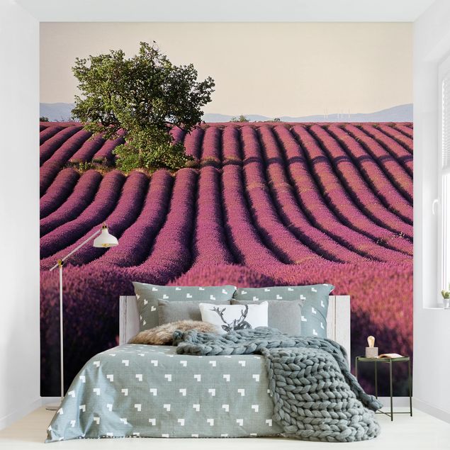 Berg Tapete Lavender