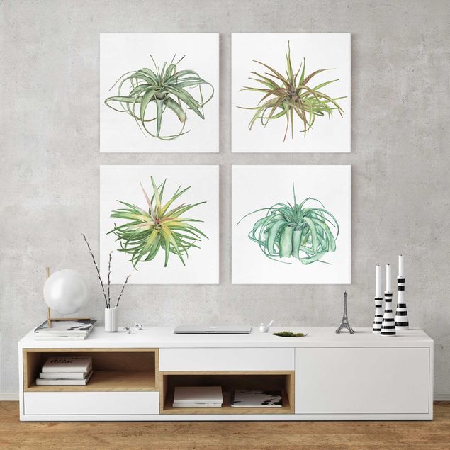 Leinwandbilder Blumen Luftpflanze Aquarell Set I