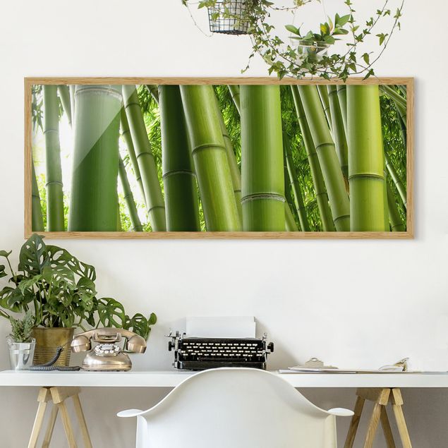 Wandbilder Bäume Bamboo Trees