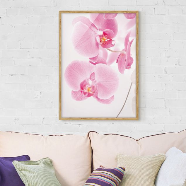 Wandbilder Orchideen Delicate Orchids
