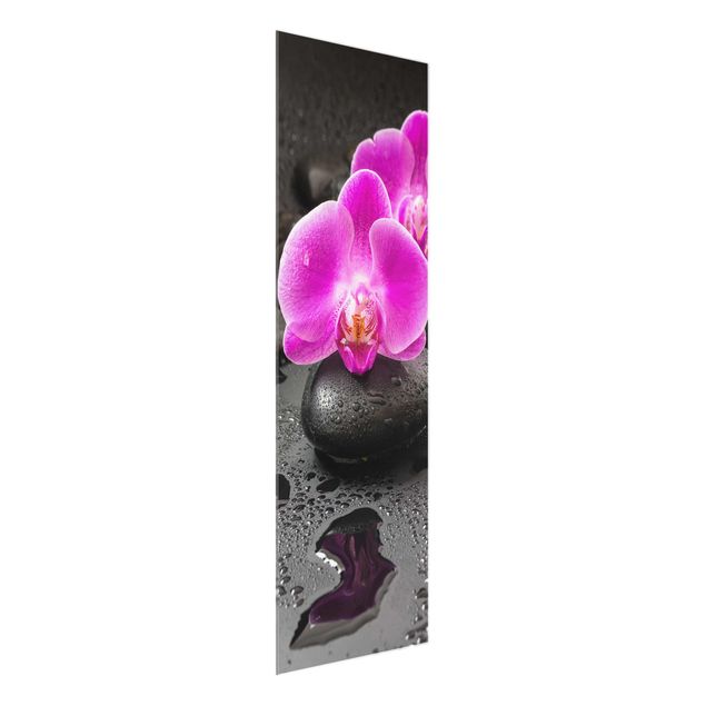 Blumen Glasbilder Pinke Orchideenblüten auf Steinen mit Tropfen