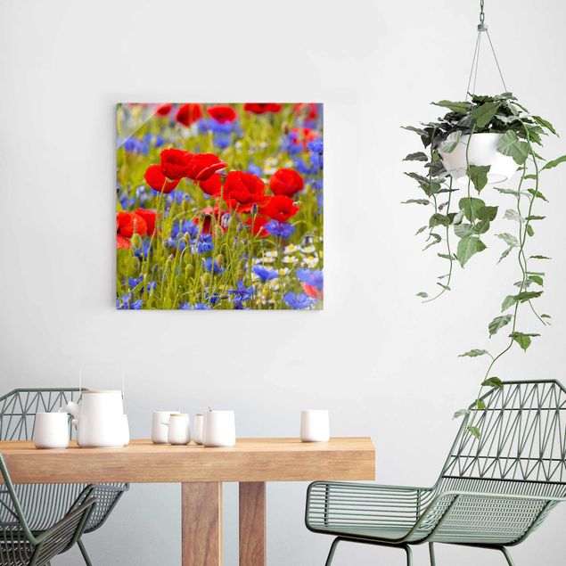 Wandbilder Mohnblumen Sommerwiese mit Mohn und Kornblumen