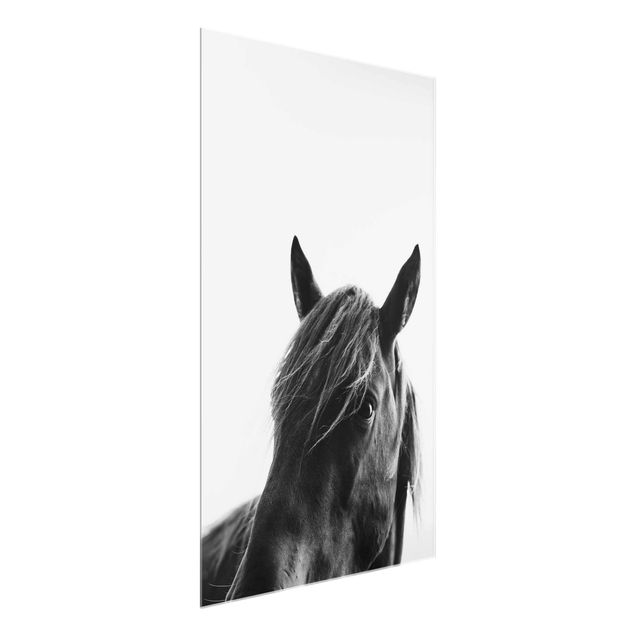 Glasbilder Tiere Neugieriges Pferd
