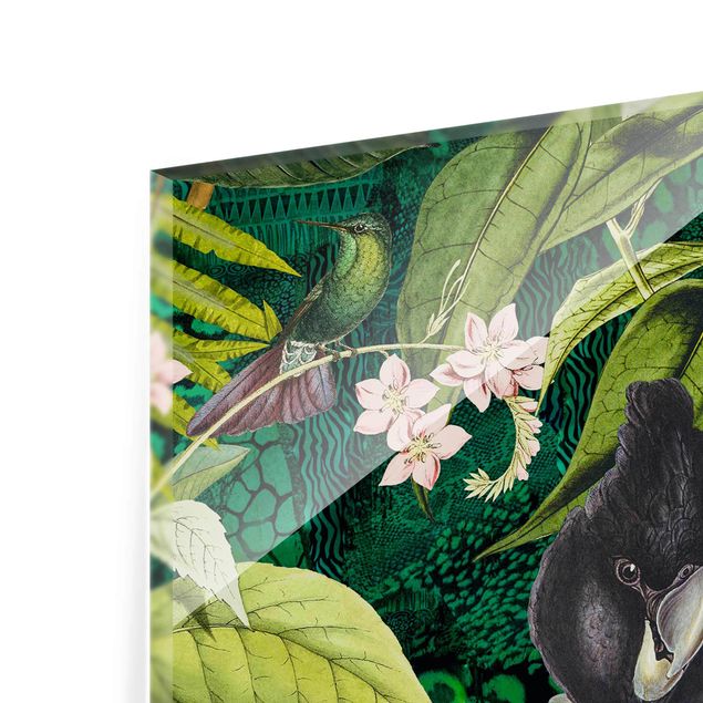 Bilder Andrea Haase Bunte Collage - Kakadus im Dschungel