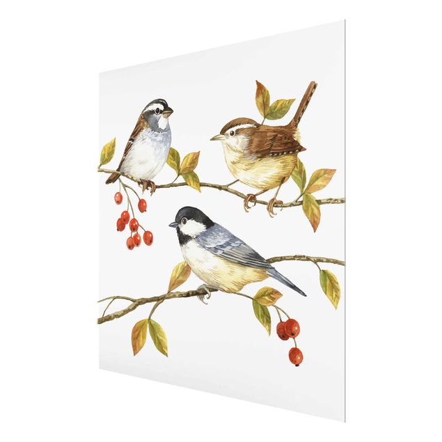 Glas Wandbilder Vögel und Beeren - Meisen