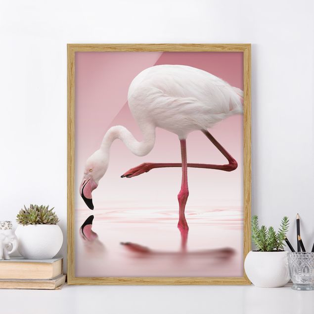 Tierbilder mit Rahmen Flamingo Dance