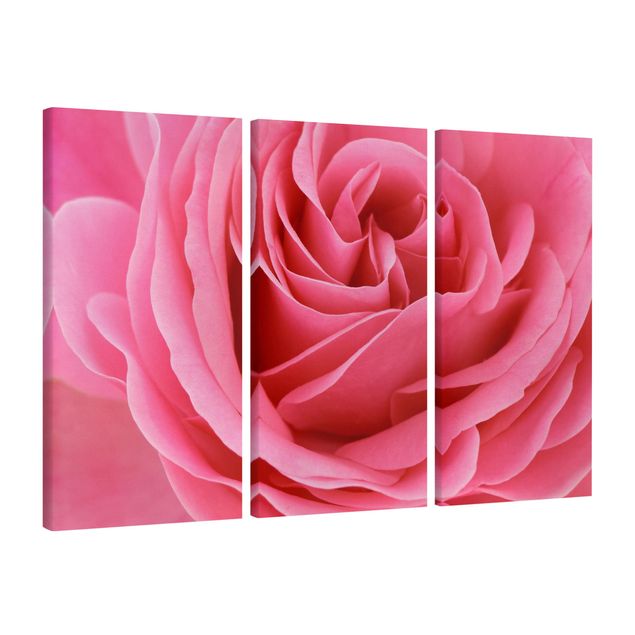 Wandbilder Floral Lustful Pink Rose