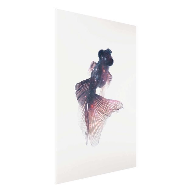Wandbilder Kunstdrucke Fisch mit Galaxie