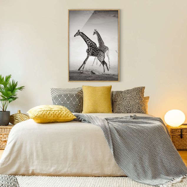 schwarz-weiß Bilder mit Rahmen Giraffenjagd