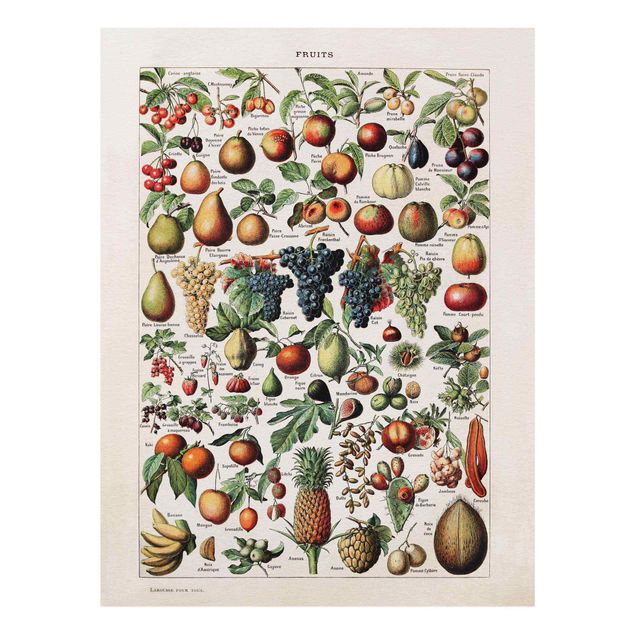 Wandbilder Bunt Vintage Lehrtafel Früchte