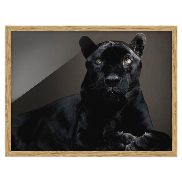 Wandbilder Abstrakt Black Puma