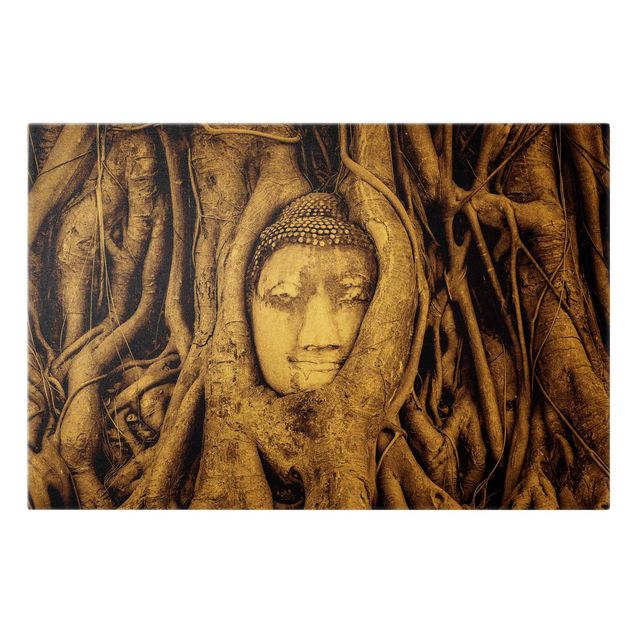 Wandbilder Floral Buddha in Ayutthaya von Baumwurzeln gesäumt in Braun