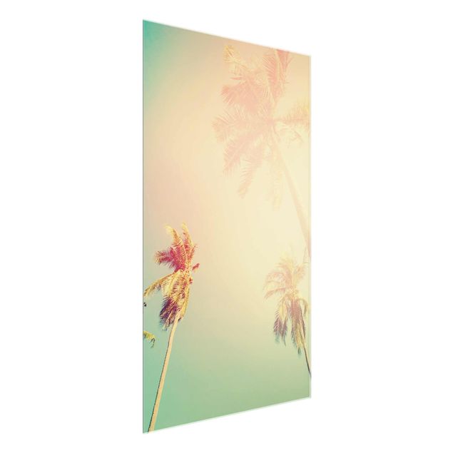 Glasbilder Blumen Motive Tropische Pflanzen Palmen bei Sonnenuntergang III