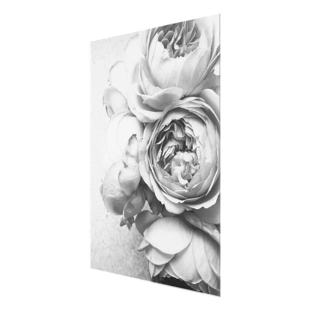 Wandbilder Floral Pfingstrosenblüten Schwarz Weiß