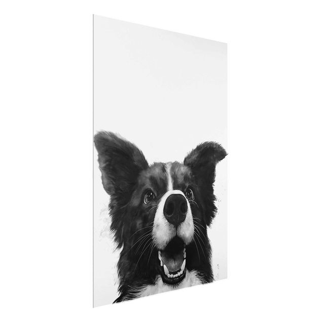 schwarz weiß Glasbilder Illustration Hund Border Collie Schwarz Weiß Malerei