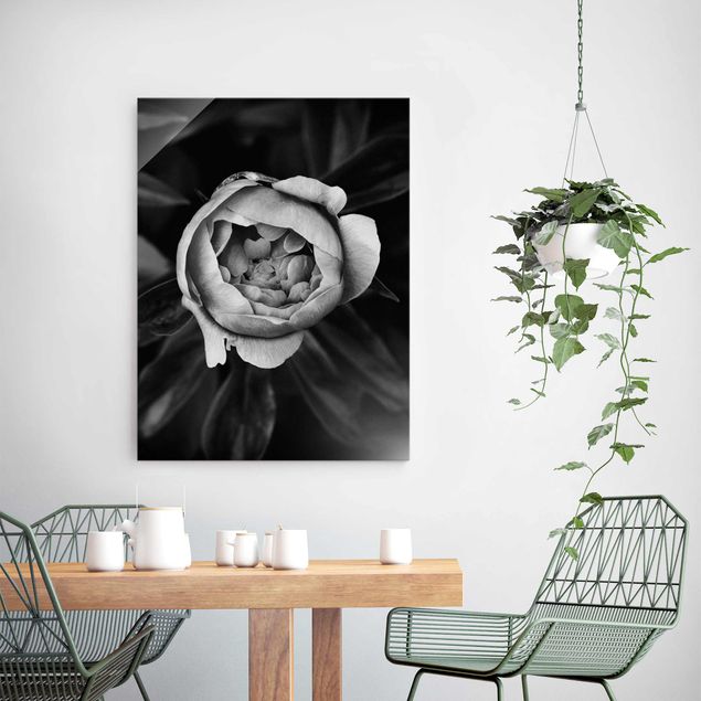 Glasbilder Rosen Pfingstrosenblüte vor Blättern Schwarz Weiß