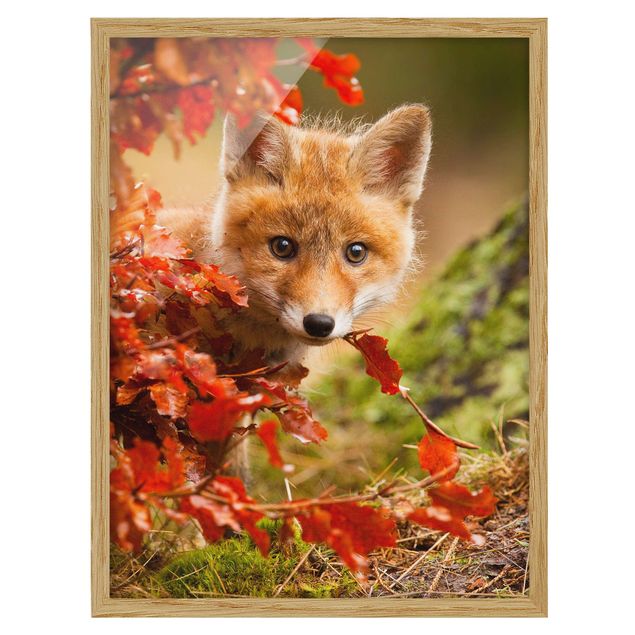 Landschaftsbilder mit Rahmen Fuchs im Herbst