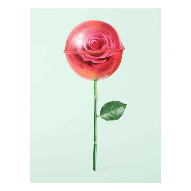 Wandbilder Blumen Rose mit Lollipop