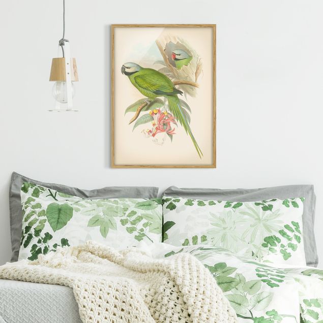 Blumenbilder mit Rahmen Vintage Illustration Tropische Vögel II