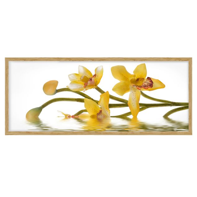 Wandbilder Floral Saffron Orchid Waters