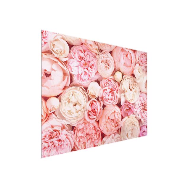 Glasbilder Blumen Rosen Rosé Koralle Shabby