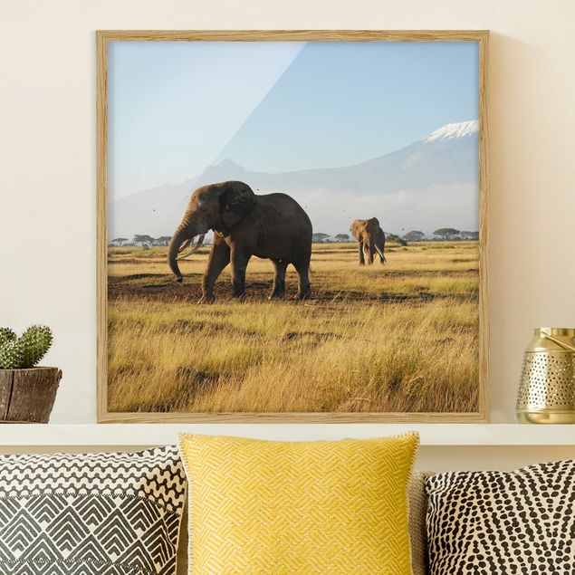 Küche Dekoration Elefanten vor dem Kilimanjaro in Kenya