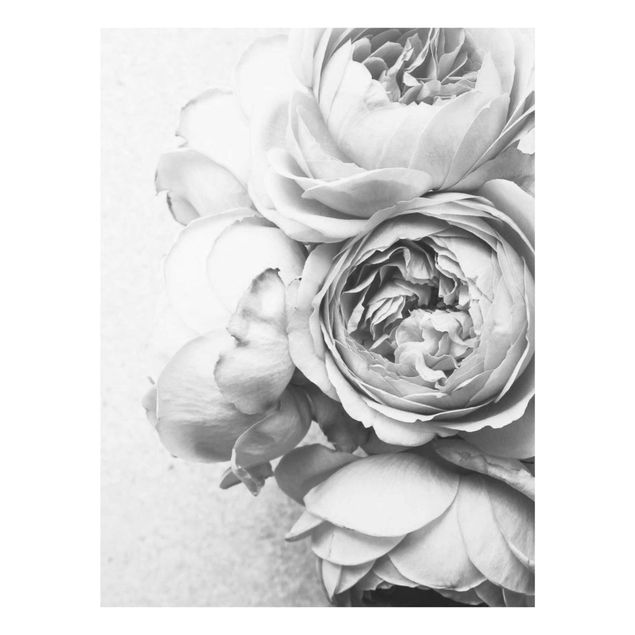 Glasbild schwarz-weiß Pfingstrosenblüten Schwarz Weiß