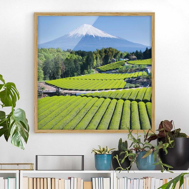 Küche Dekoration Teefelder vor dem Fuji