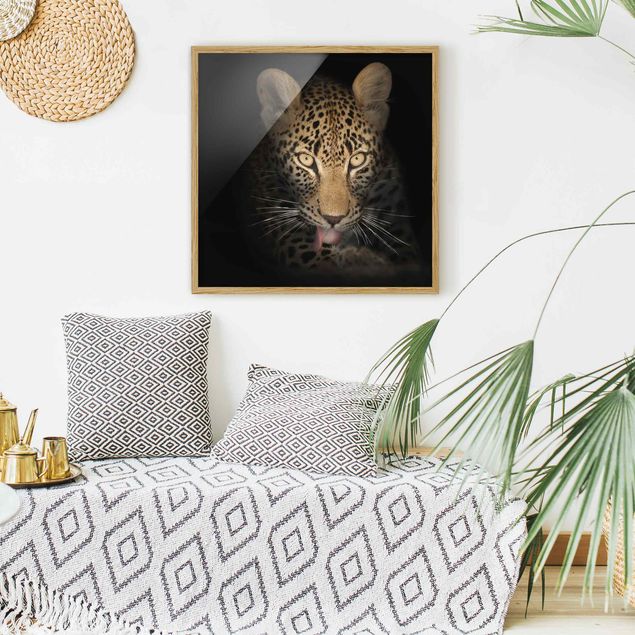 Tierbilder mit Rahmen Resting Leopard