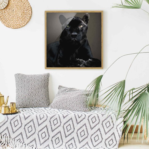 Gerahmte Bilder Tiere Black Puma