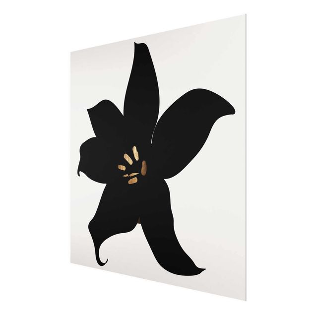 Glasbilder Schwarz-Weiß Grafische Pflanzenwelt - Orchidee Schwarz und Gold