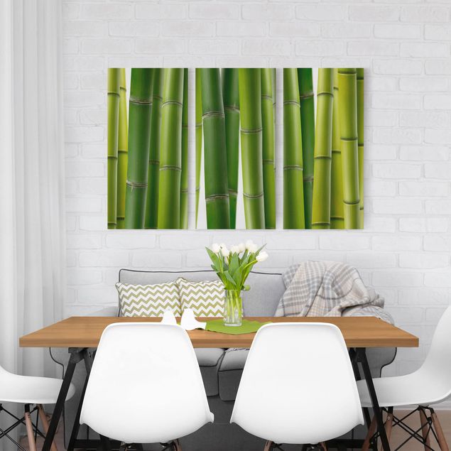 Leiwandbild Bambus Bambuspflanzen